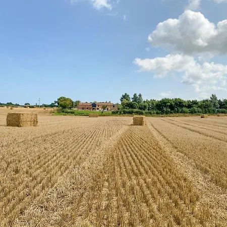 Mullins * Gristhorpe